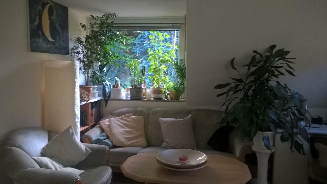 Gemuetl. Ferienwohnung Und Privatzimmer Hamburg Exterior foto